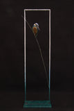 Bird perched on a branch on a frame on a black background