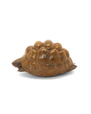 Bronze sculpture of tortoise