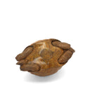 Bronze sculpture of tortoise