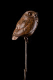 Bronze sculpture of an owl perched on a branch against a black background