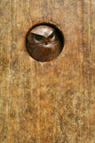 Close up of bronze owl.