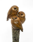 close up of bronze sculpture of three owls on a branch with a white background