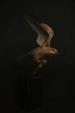 Bronze bird sculpture on a branch against a black background