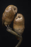 Two stone owl sculptures on a branch against a black background