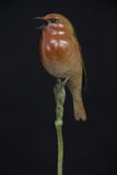 Bronze sculpture of red robin bird perched on a branch against a black background