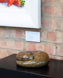 Brown bronze sculpture of a curled up otter on a black surface with a brick wall background