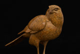 Bronze sculpture of Bird perched on a ball against a black background