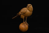 Bronze sculpture of Bird perched on a ball against a black background