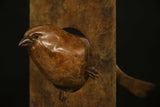 Bronze sculpture of a bird on a vertical rectangular base against a black background