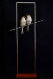 Sculpture of two birds perched on a branch inside a tall, narrow frame against a black background.