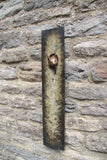 Bronze squirrel sculpture