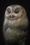 Bronze sculpture of a tawny owl perched