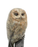 close up of bronze sculpture of grey owl on post