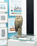 Statue of a tawny owlet on a pedestal in a room with framed pictures on the wall.