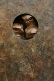 Bronze rust-colored metal plaque sculpture with a circular cutout with birds on a stone wall