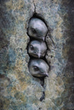 Decorative bronze panel with three birds on a stone wall close up