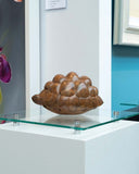 Bronze sculpture of tortoise on a glass display case with a blurred background