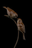 Bronze sculpture of two sparrow birds on a curved branch on a black background.
