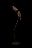 Bronze sculpture of two sparrow birds on a curved branch on a black background.