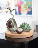 Adam-Paddon-Double-Conker-Gallery