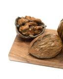 Bronze sculpture of walnut on wooden base