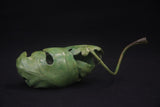 Adam Binder Oak Leaf Toad