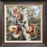 Framed artwork of squirrels on a tree branch
