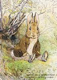 Beatrix Potter-Peter, Who Has Got Your Clothes? | Official Collectors Edition | Free UK Delivery 