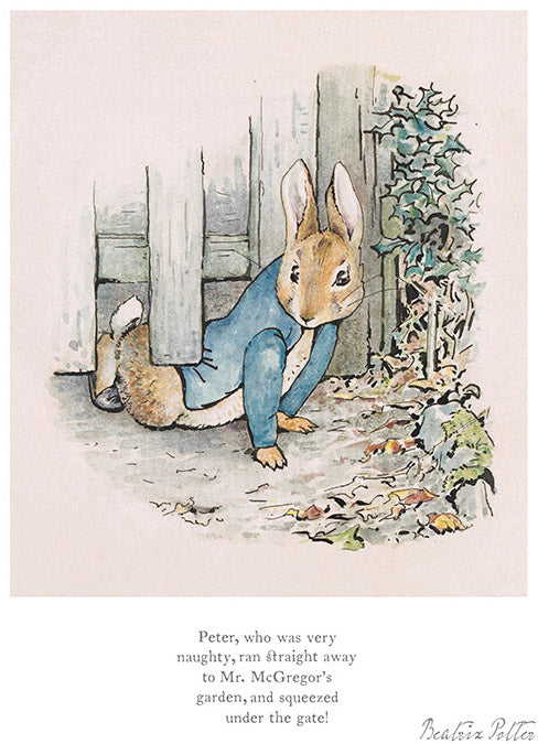 Peter Rabbit Illustraties Peter Rabbit Beatrix Potter Garden