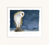 Barn Owl - The Lost Spells Jackie Morris & Robert MacFarlane