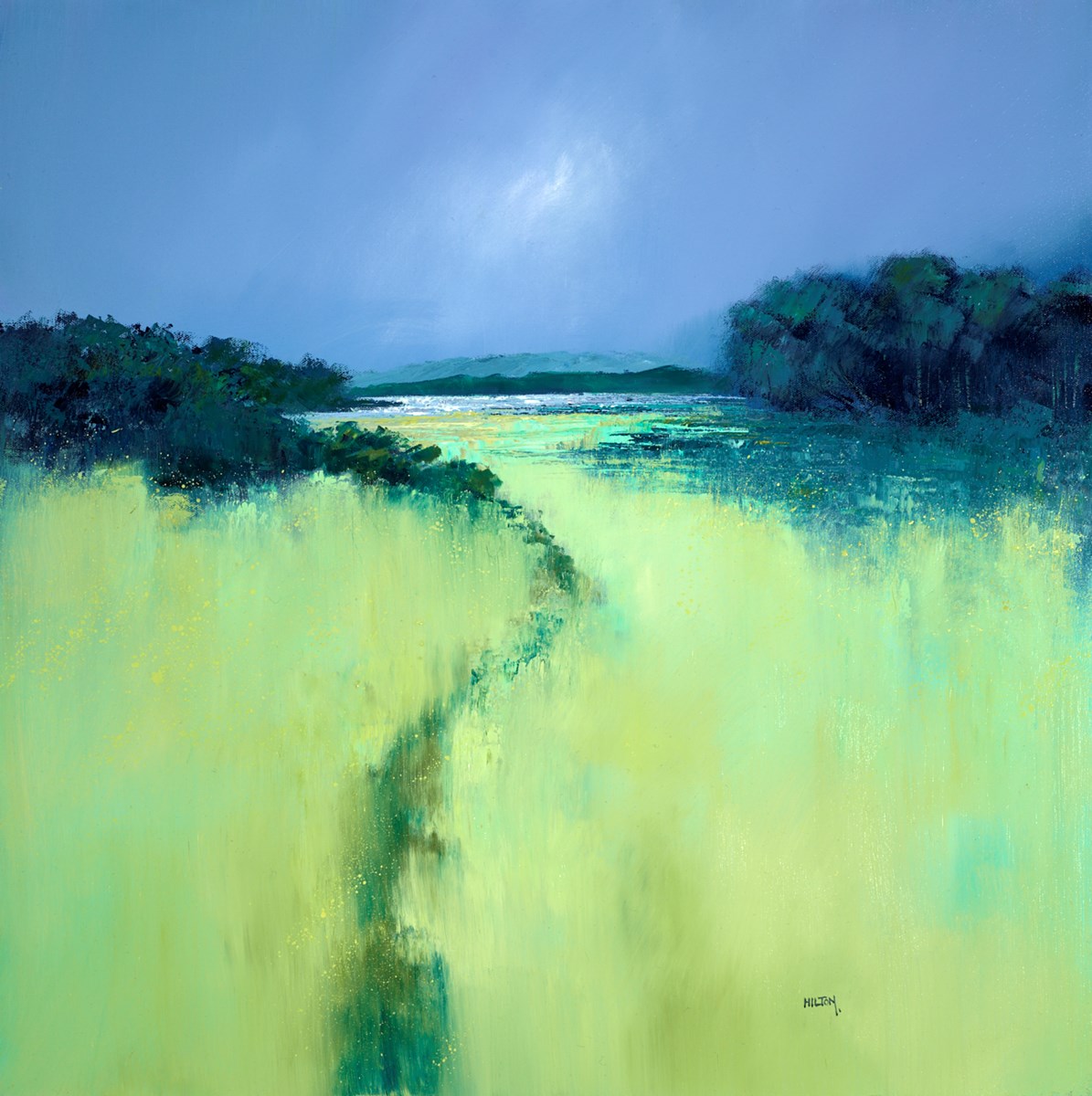 Hill Rise | Barry Hilton | Free UK Delivery from The Rose Gallery