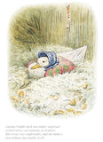 Beatrix Potter-Jemima Was Surprised To Find A Quantity Of Feathers | Official Collector's Edition | Free UK Delivery 