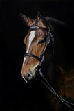 Blaze-Clare-Parkes