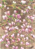 pink and white cherr blossom branches on a brnze matalic background