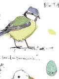 Madeleine Floyd- Blue Tit and Starling Sketchbook