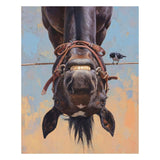 Boid-Hung-Like-A-Horse