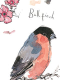 Madeleine Floyd- Bullfinch and Collared Dove Sketchbook