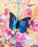 Blue butterfly on a colorful abstract background