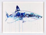 Artistic depiction of a shark with blue and white colours on a light background