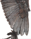 Close-up of an eagle's wing with detailed feathers on a white background