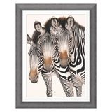 Framed artwork of two zebras on a white background