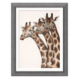 Framed artwork of three giraffes on a white background