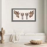 Framed artwork with giraffes and ostriches on a wall above a white sofa.