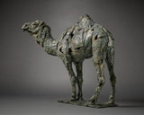 Fred-Gordon-Dromedary-Camel
