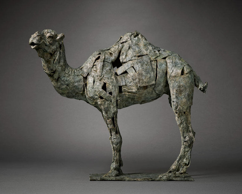 Fred Gordon Rabner Dromedary Camel | Fred Gordon | Sculpture | The Rose Gallery