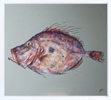 This John Dory - Original