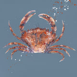 Red Crab