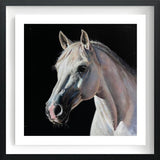 Framed artwork of white horse on a dark background in a black frame.