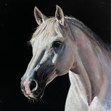 artwork of white horse on a dark background.