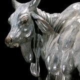 GP Brahman Bull